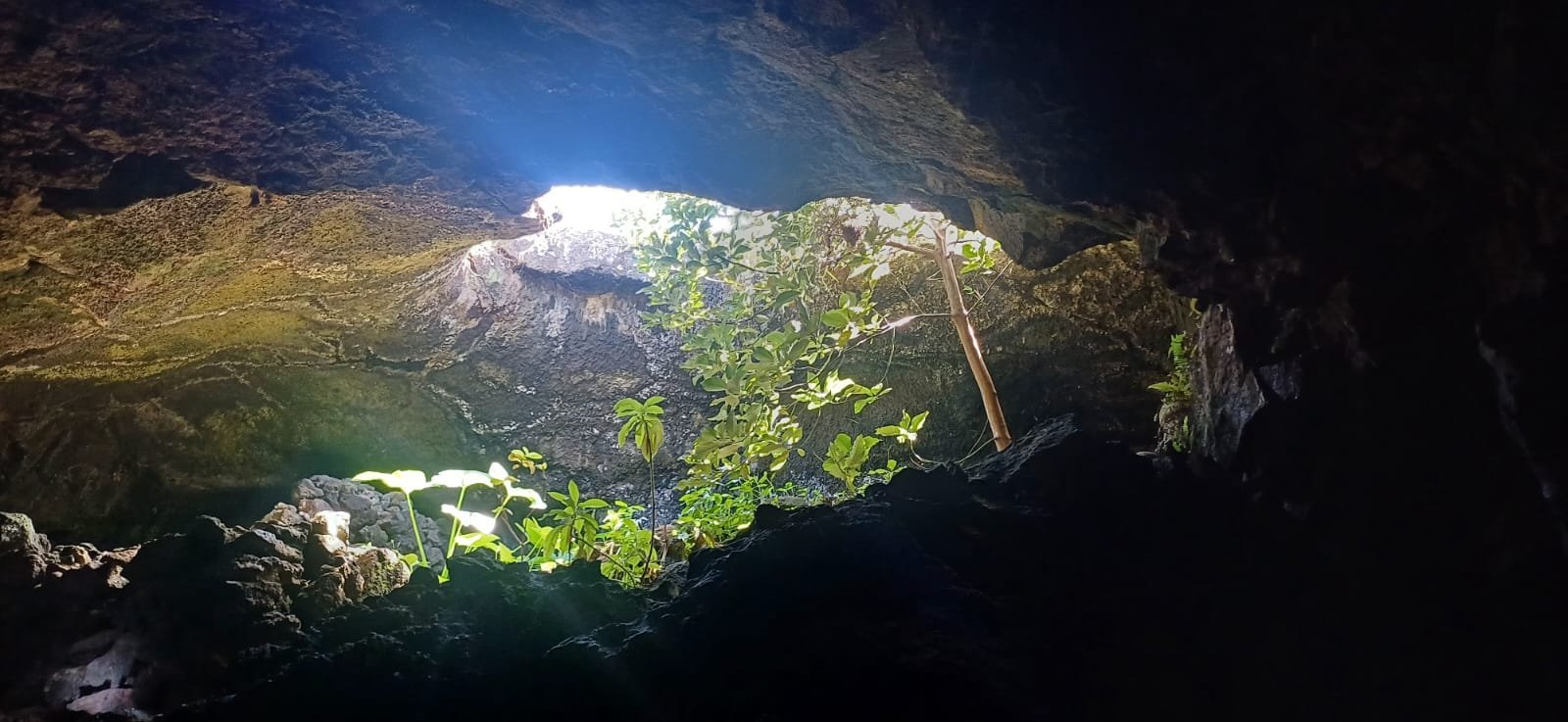 This image for Image Layouts addon